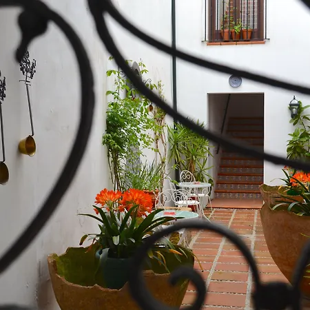 Hotel Marisa Cordova