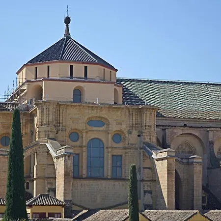 Готель Marisa Кордова