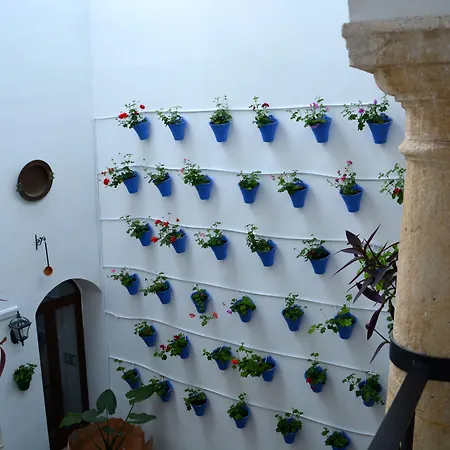 Marisa Готель Кордова