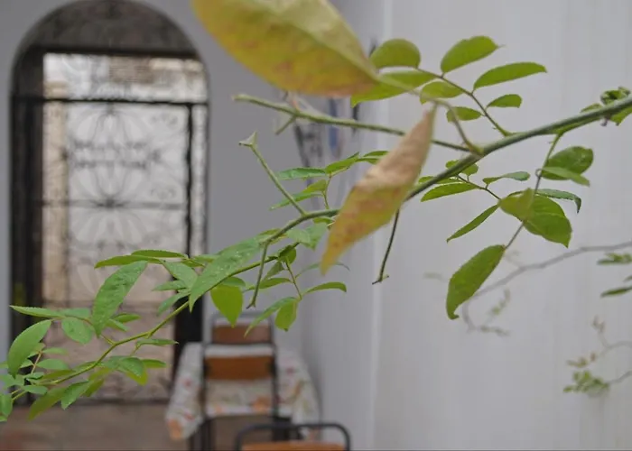 Marisa Отель 2*