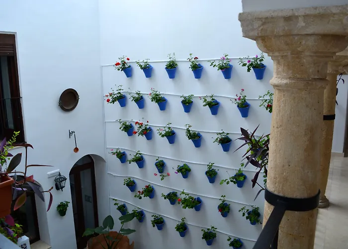 Marisa Отель Кордова